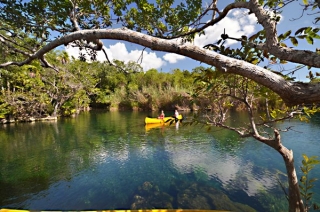  Pagayer dans les mangroves 